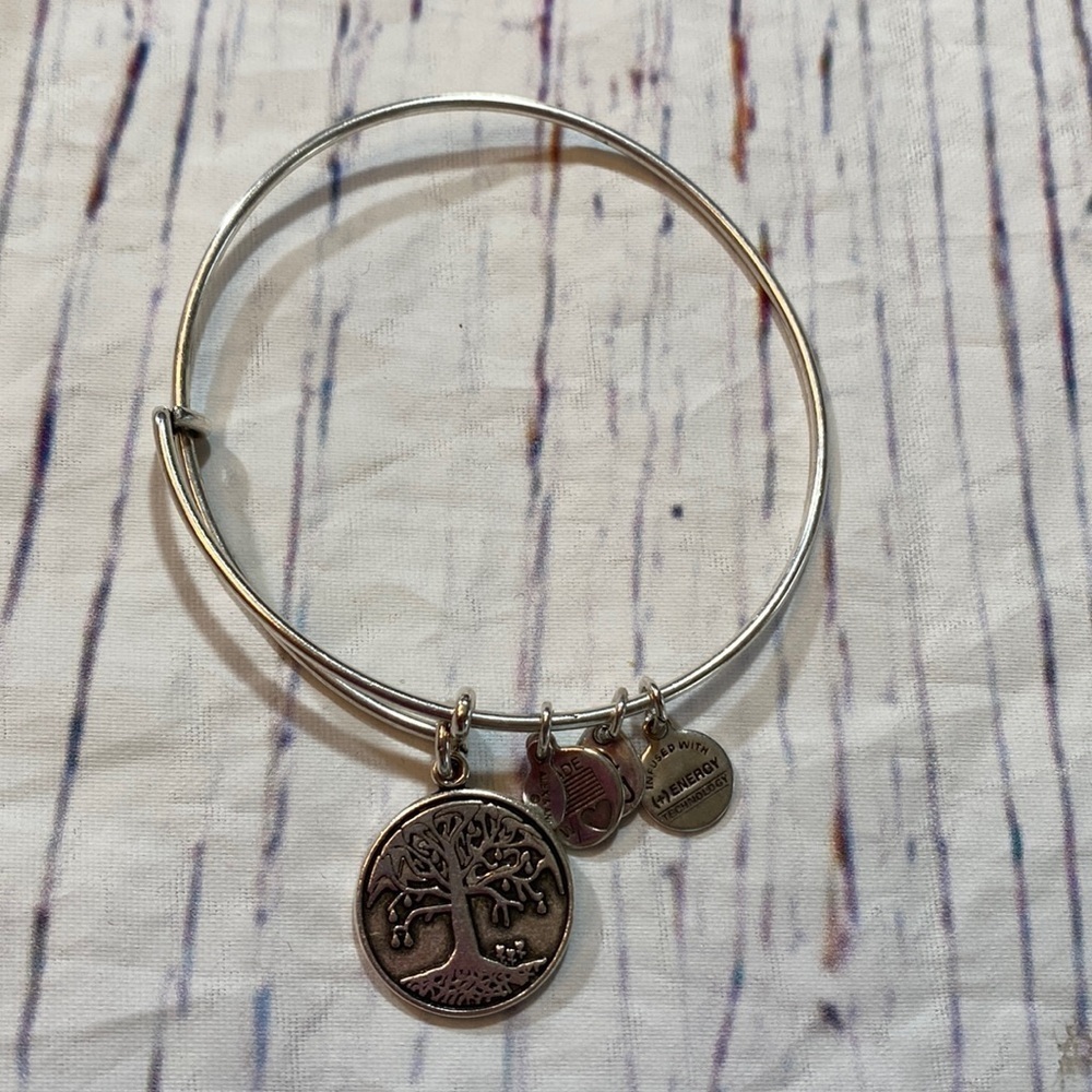 Alex and Ani Tree Of Life Charm Silver Bangle Bracelet